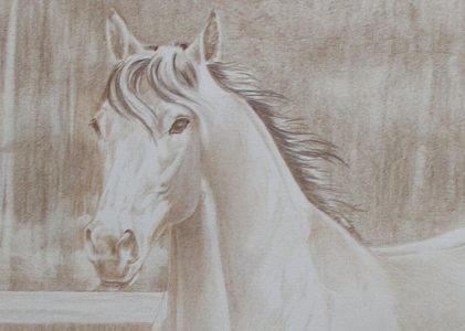 How to Start a Colored Pencil Umber Underdrawing