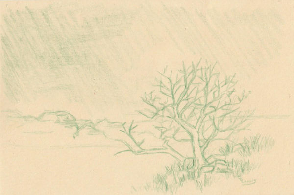 sketches for the week of August 2