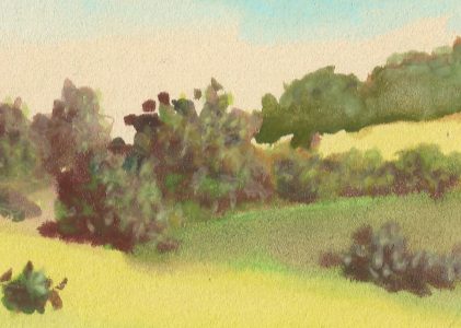 Watercolor Pencils with Colored Pencils