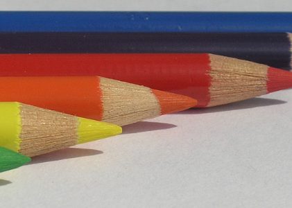 Polychromos Pencils on Bristol Paper