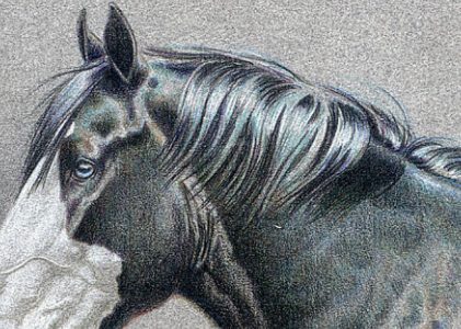 Directional Strokes with Colored Pencils