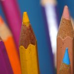 Newsletter Subscriptions