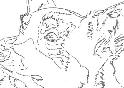 How I Start a New Drawing