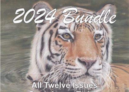 2024 CP Magic! Bundle